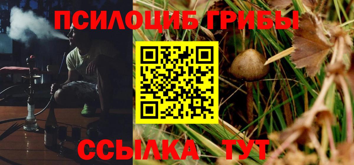 Псилоцибиновые грибы прущие грибы Клинцы